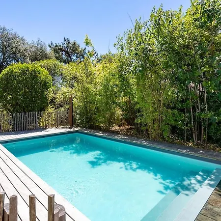Apartment Splendid With Pool, Bassin D'arcachon View